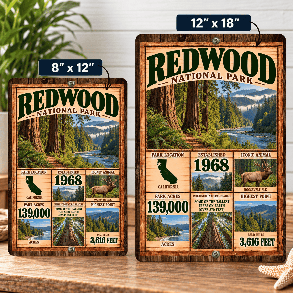 Redwood National Park facts aluminum sign shown in 8 by 12 and 12 by 18 inch sizes