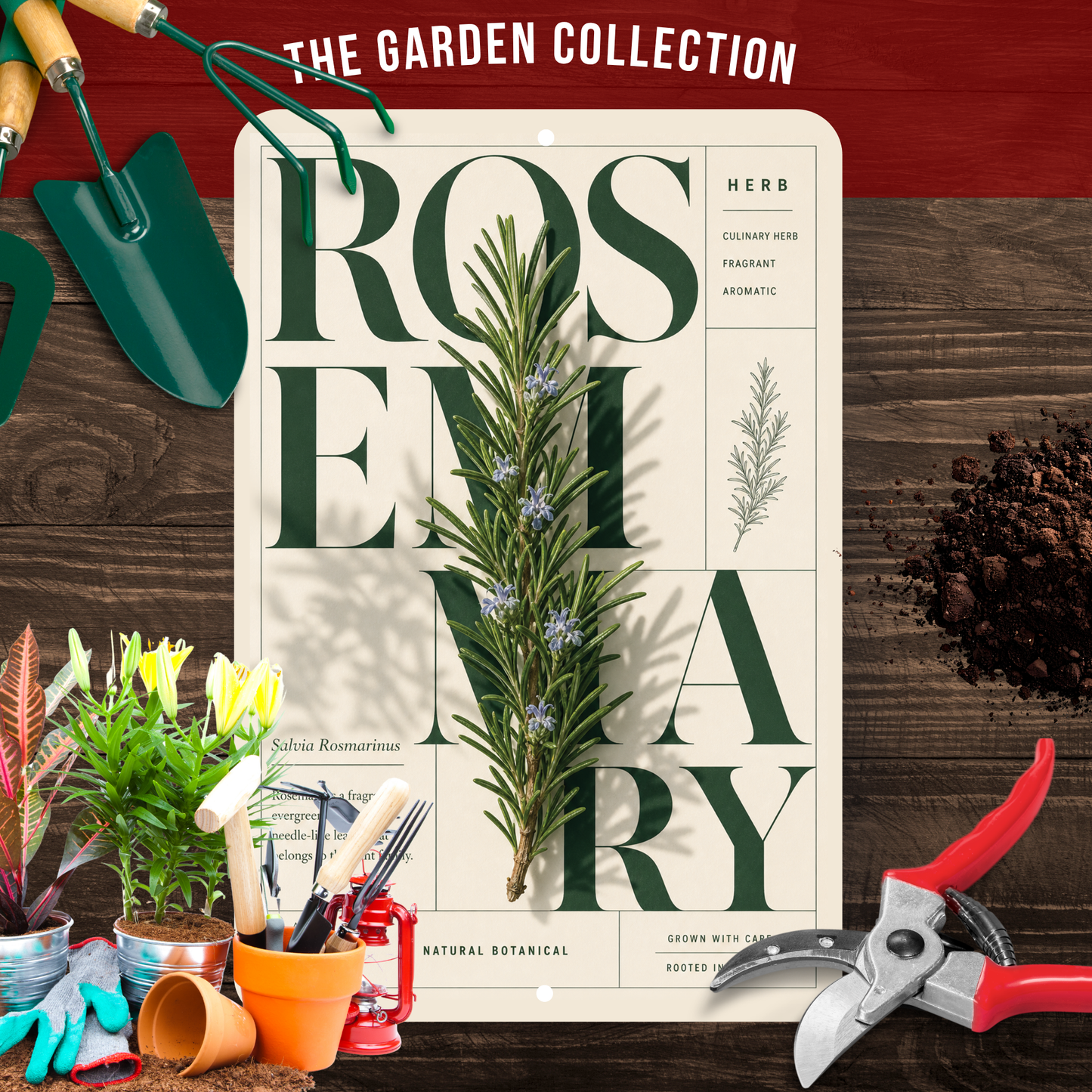 Rosemary Botanical Aluminum Sign – Herb Kitchen & Garden Décor