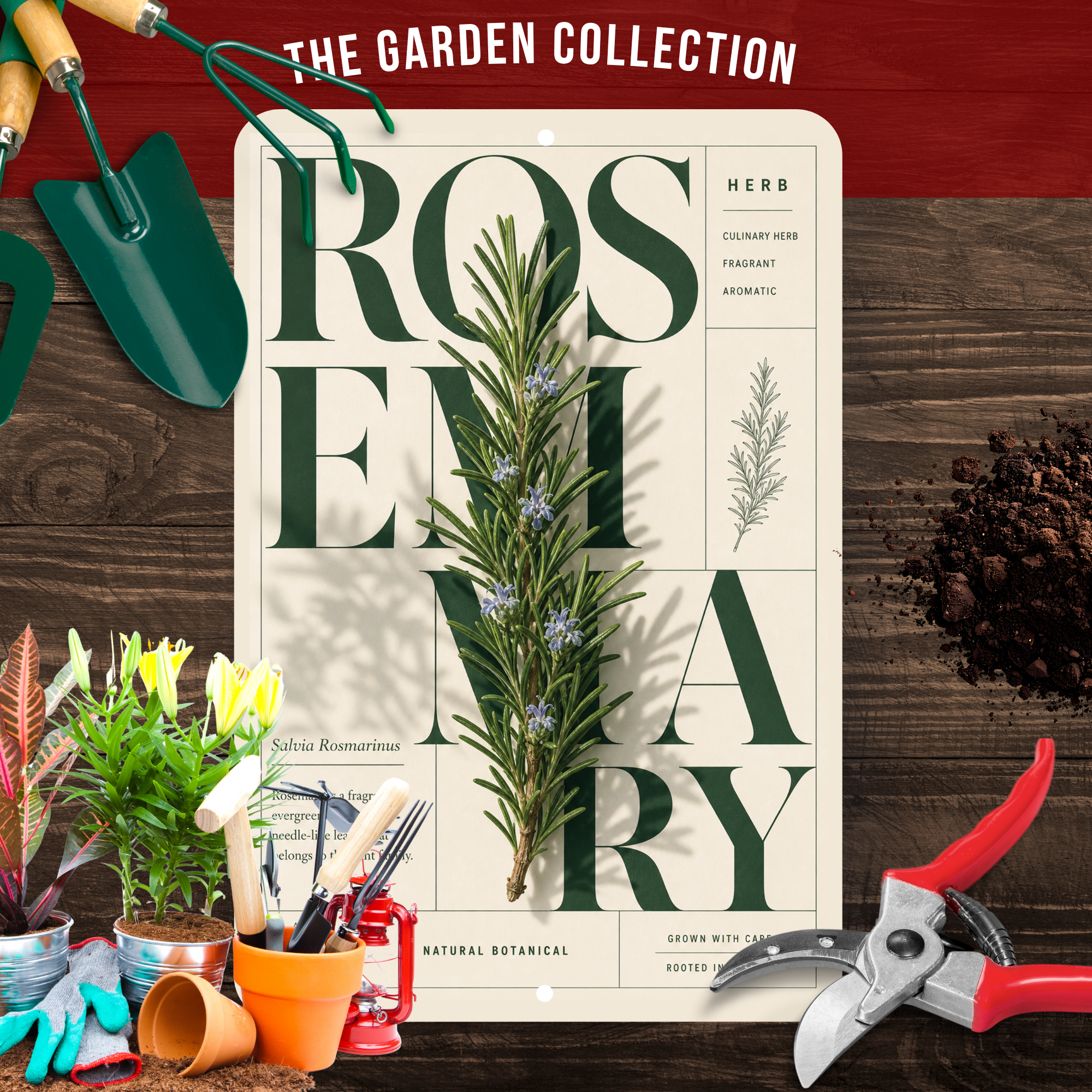 Rosemary Botanical Aluminum Sign – Herb Kitchen & Garden Décor