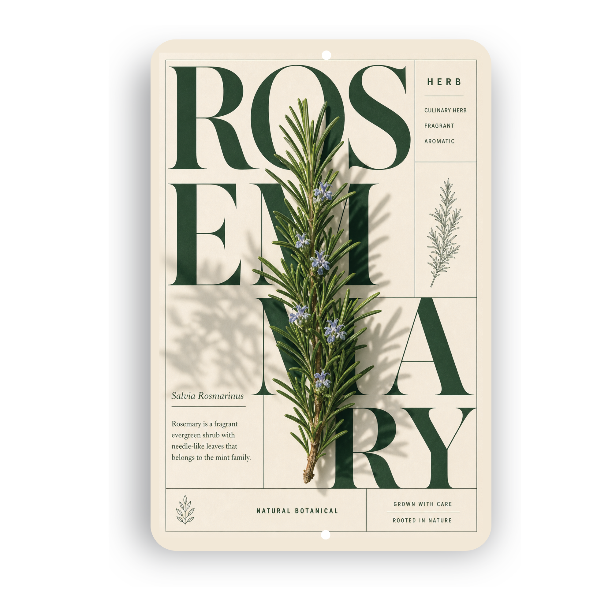 Rosemary Botanical Aluminum Sign – Herb Kitchen & Garden Décor