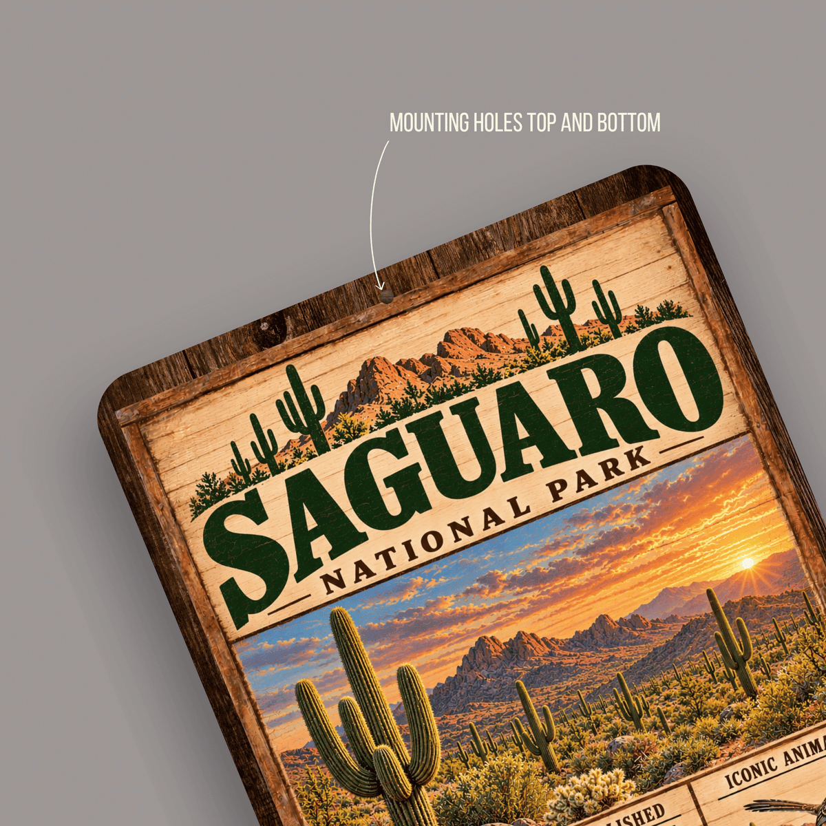 Close-up of rounded corners and predrilled mounting holes on Saguaro National Park sign