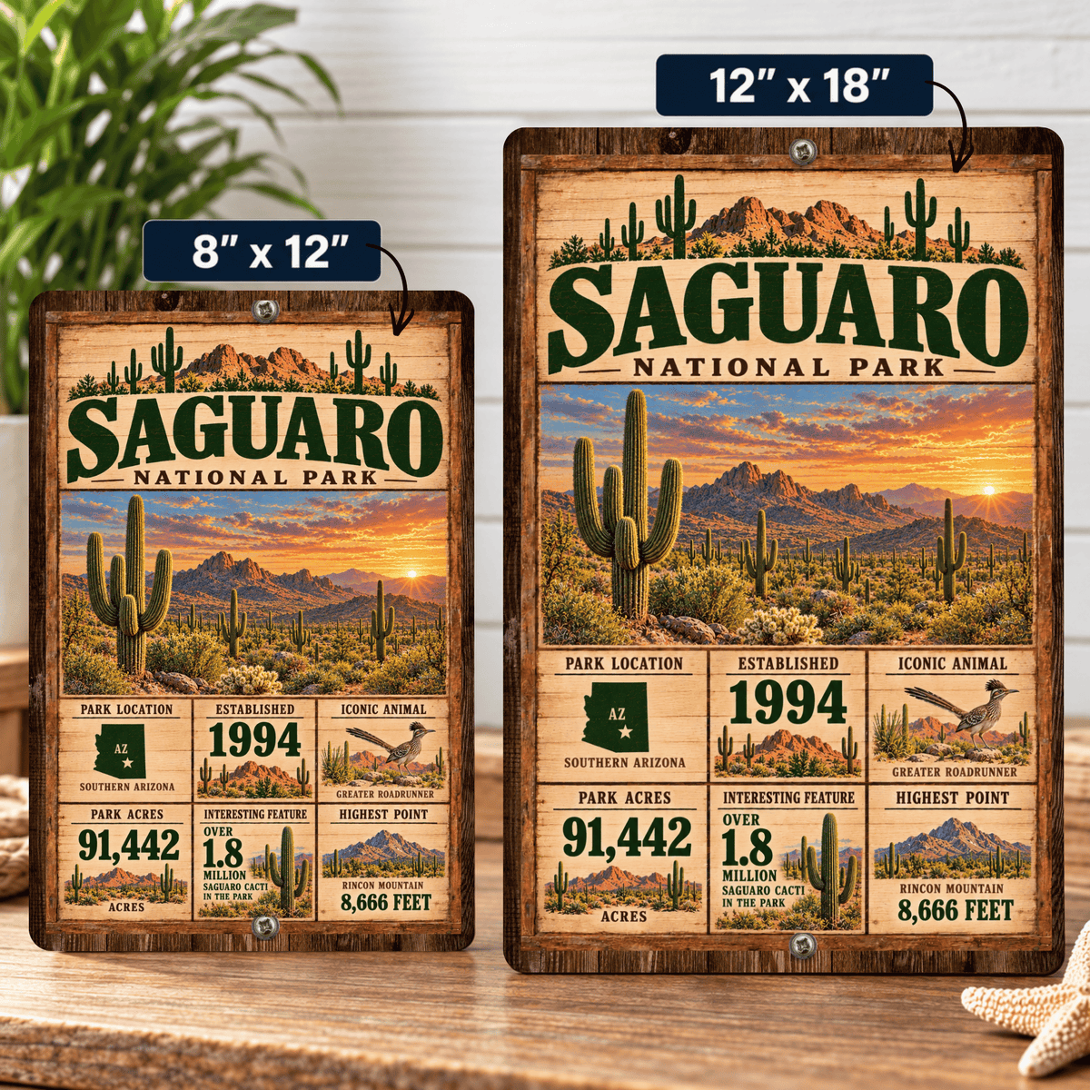 Saguaro National Park facts sign shown in 8 by 12 and 12 by 18 inch sizes