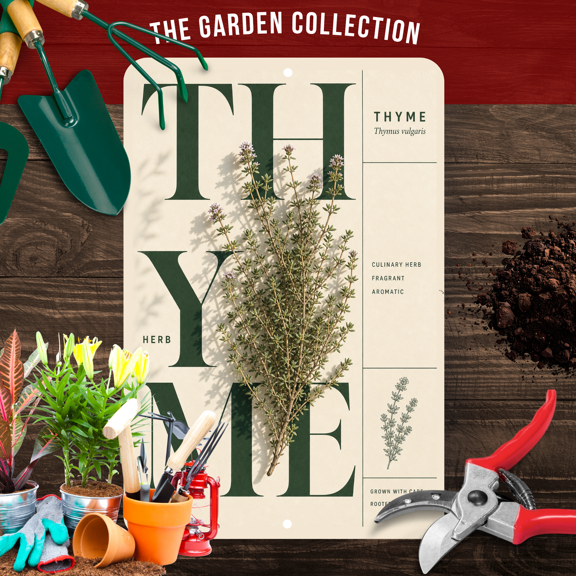 Thyme Botanical Aluminum Sign – Herb Kitchen & Garden Décor