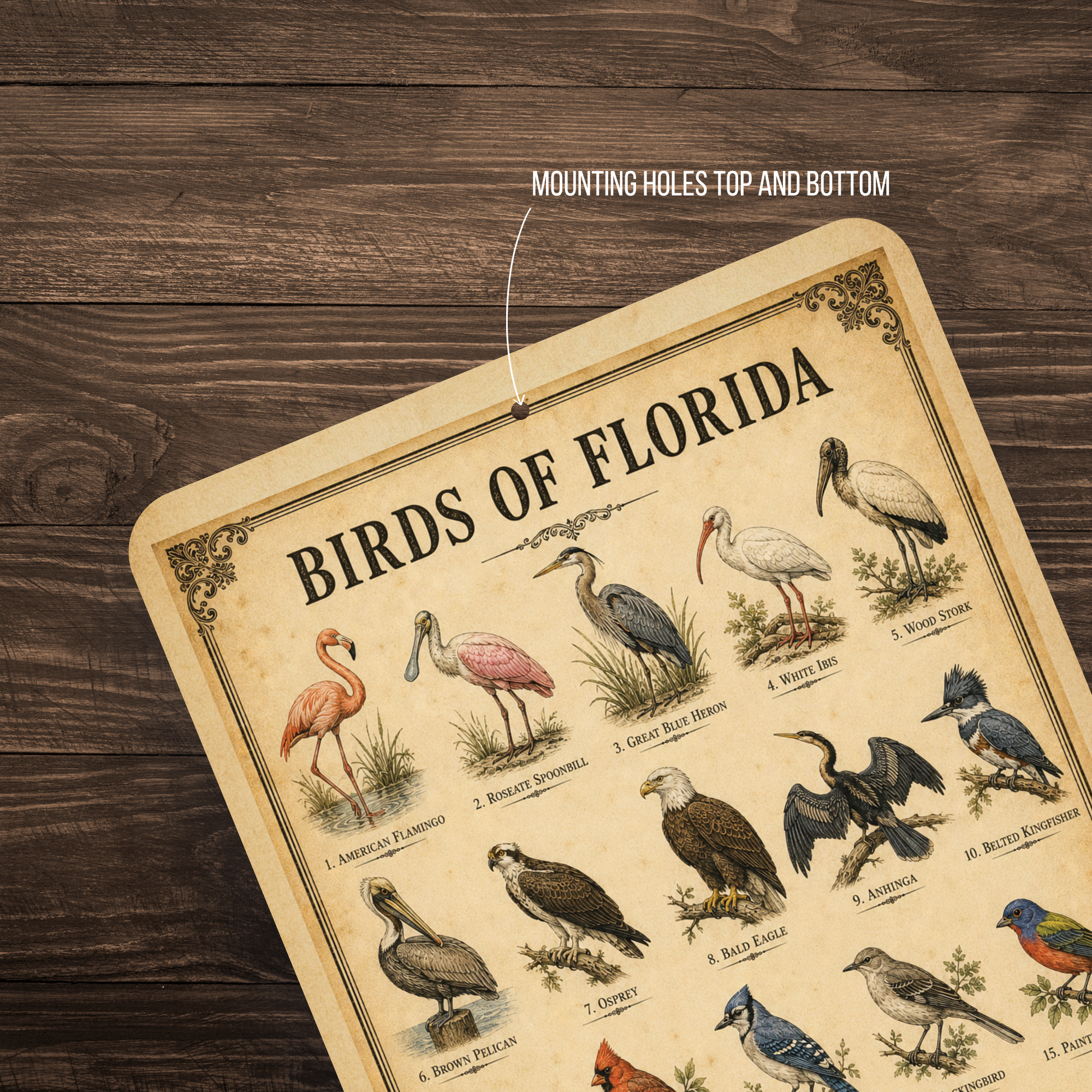 Birds of Florida Sign