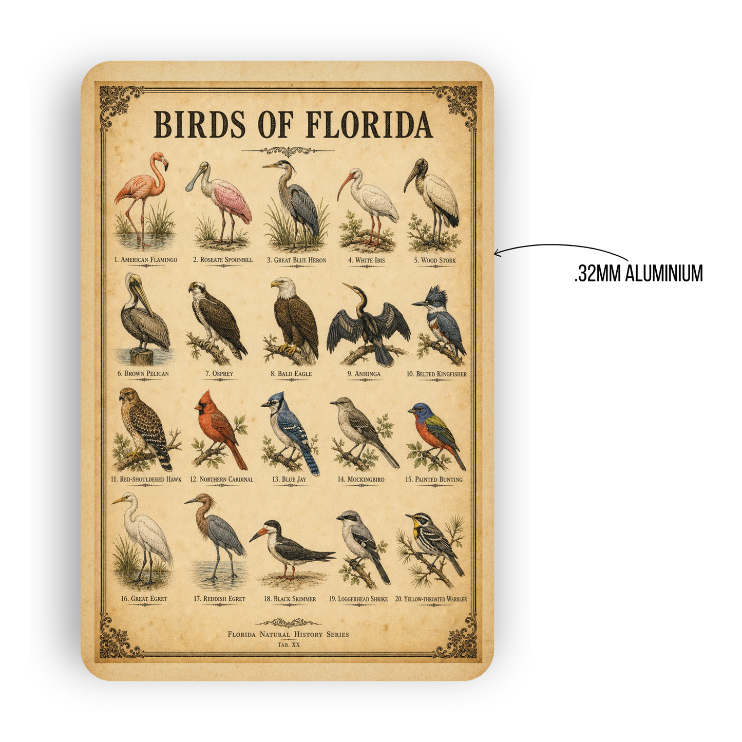 Birds of Florida Sign