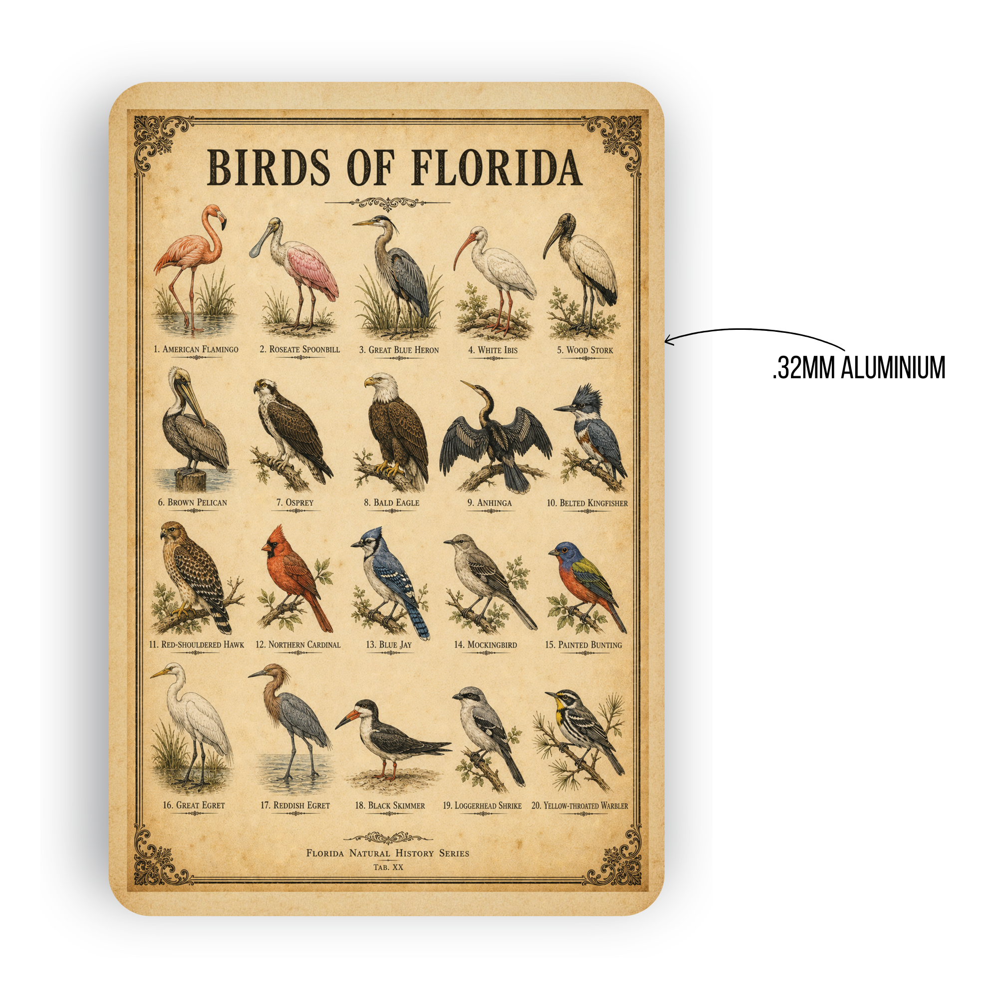Birds of Florida Sign