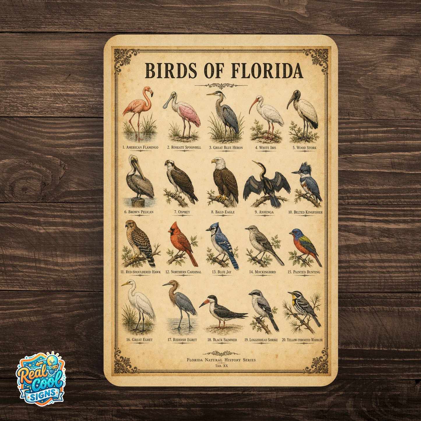 Birds of Florida Sign