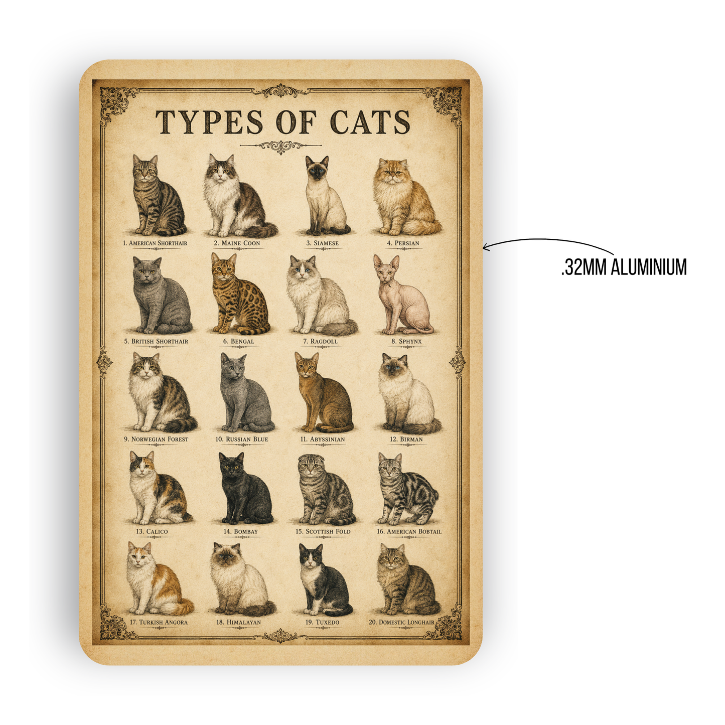 Types of Cats Signs