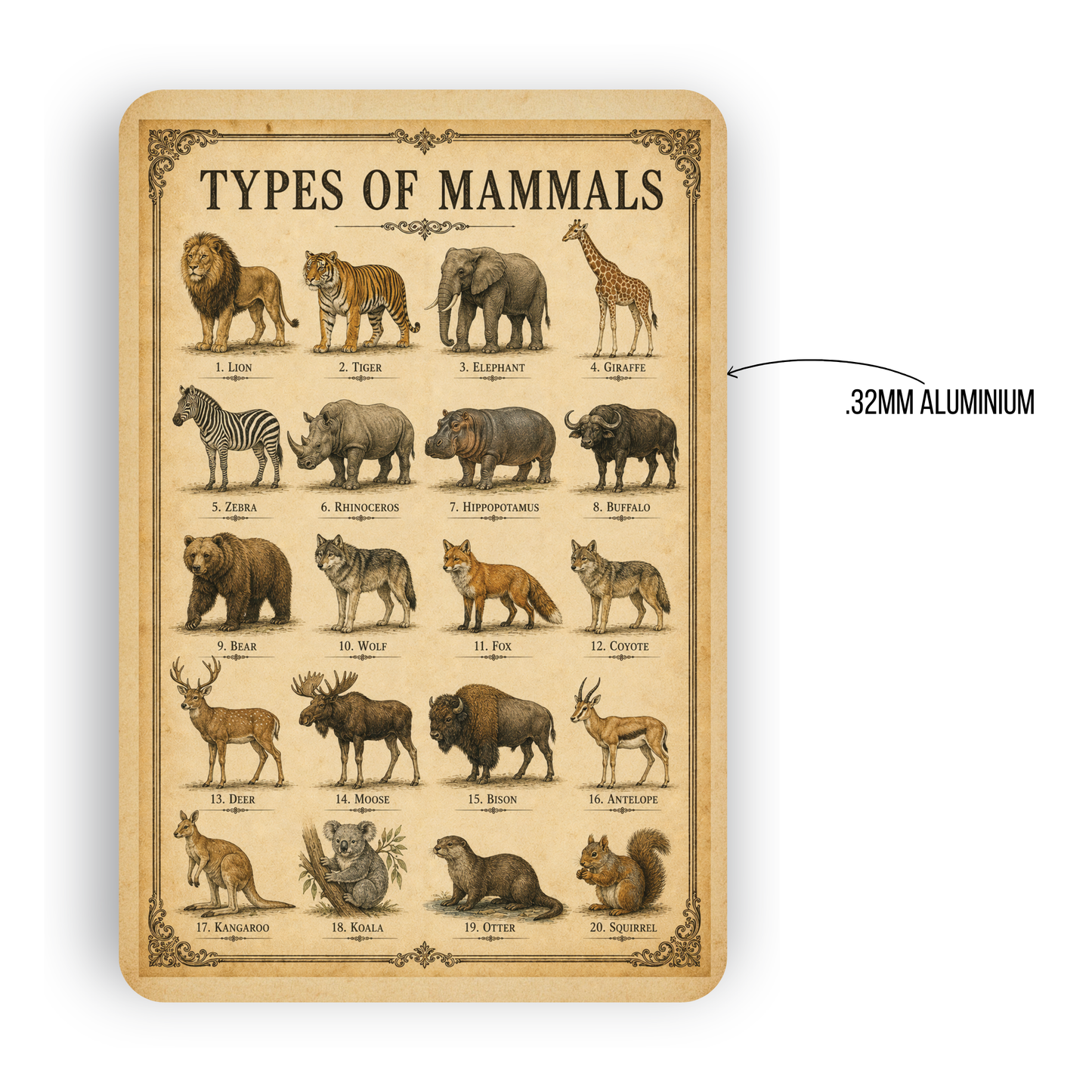 Types of Mammals Sign