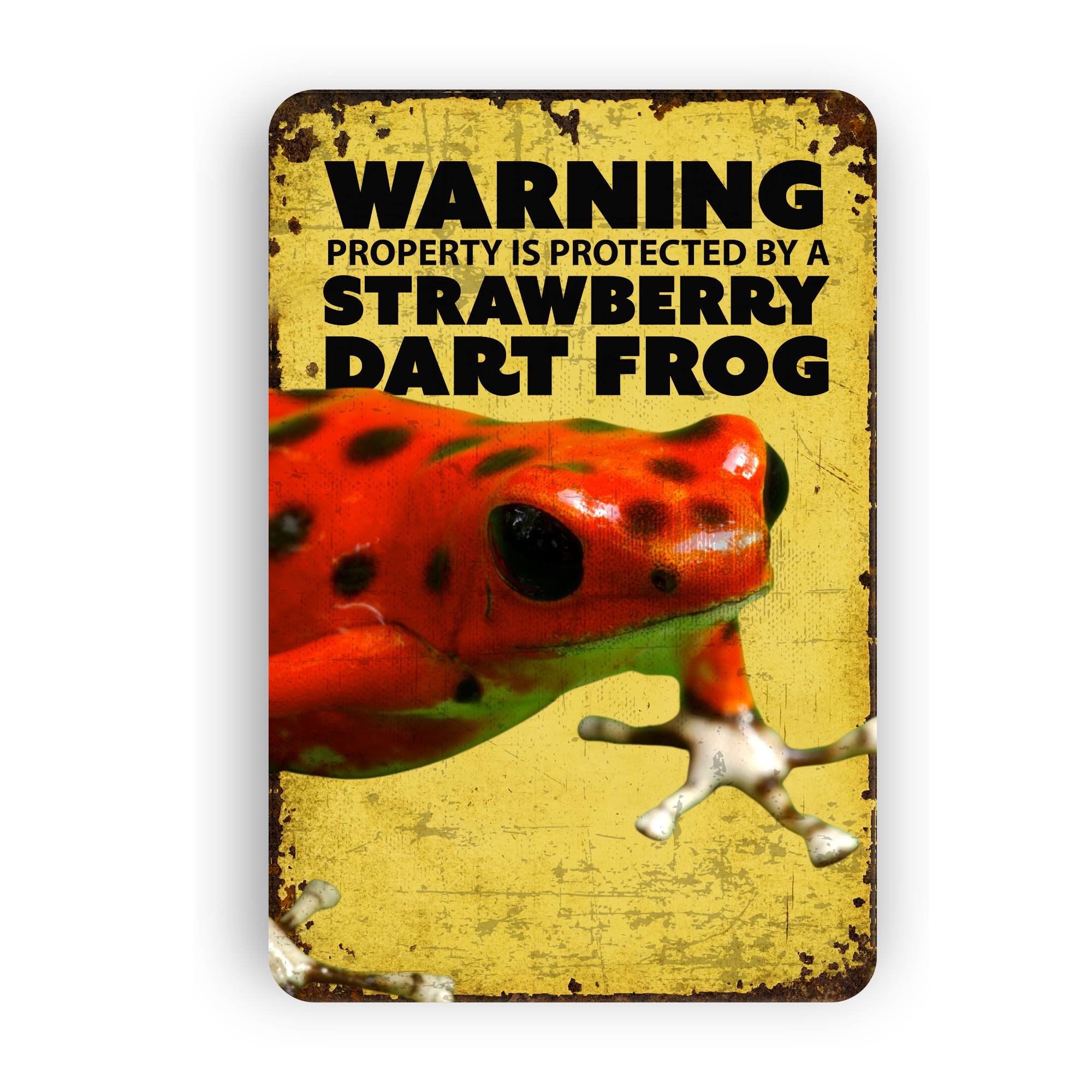 Warning Dart Frog Sign